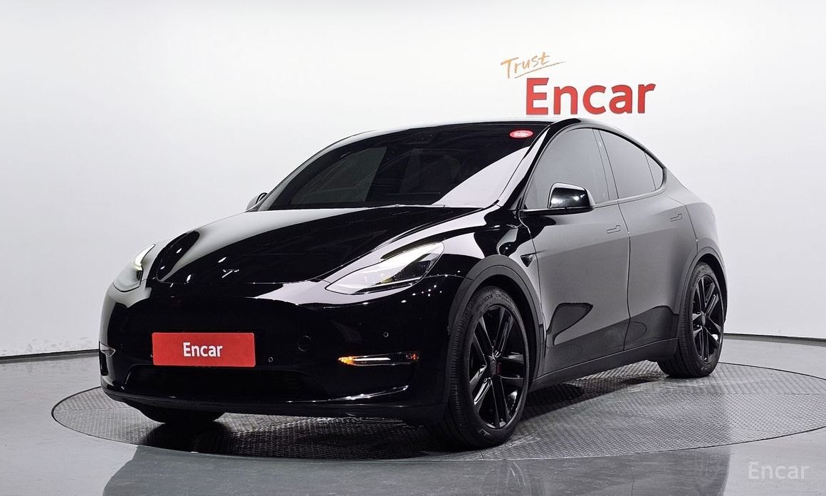 Model Y Performance 2