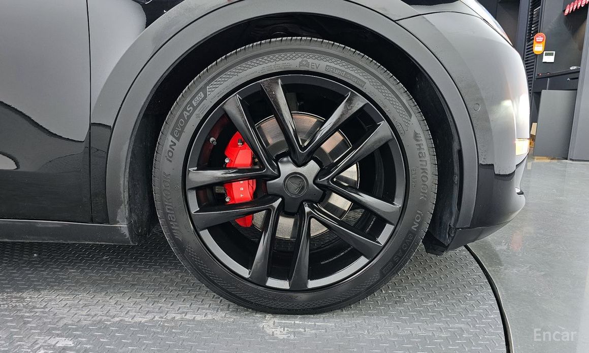 Model Y Performance 6