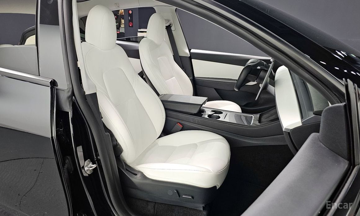 Model Y Performance 11