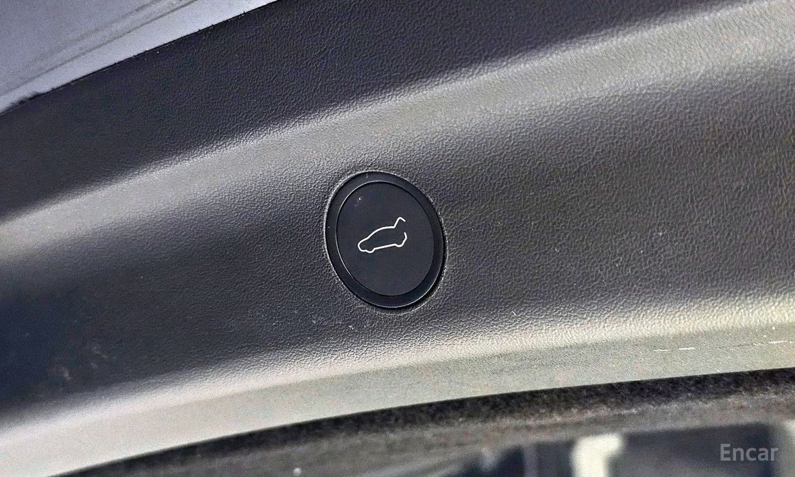 Model Y Performance 19