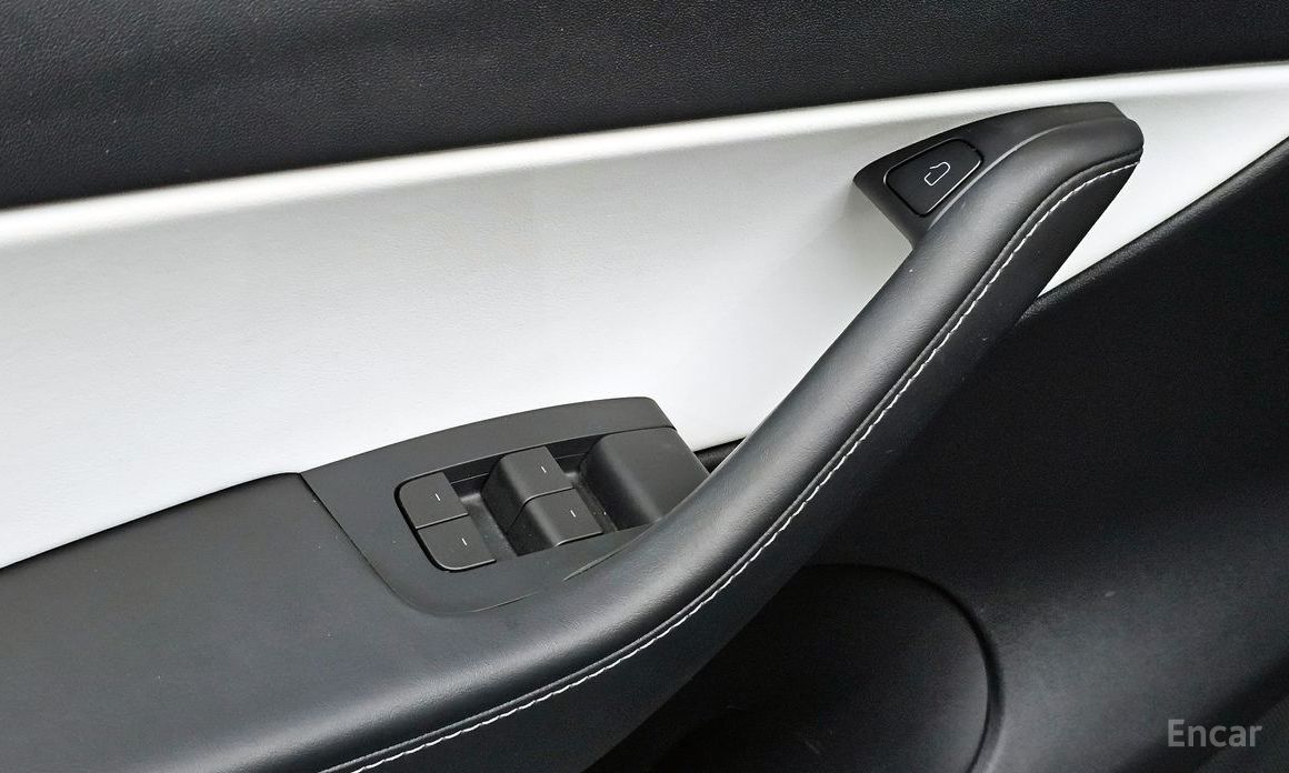 Model Y Performance 20