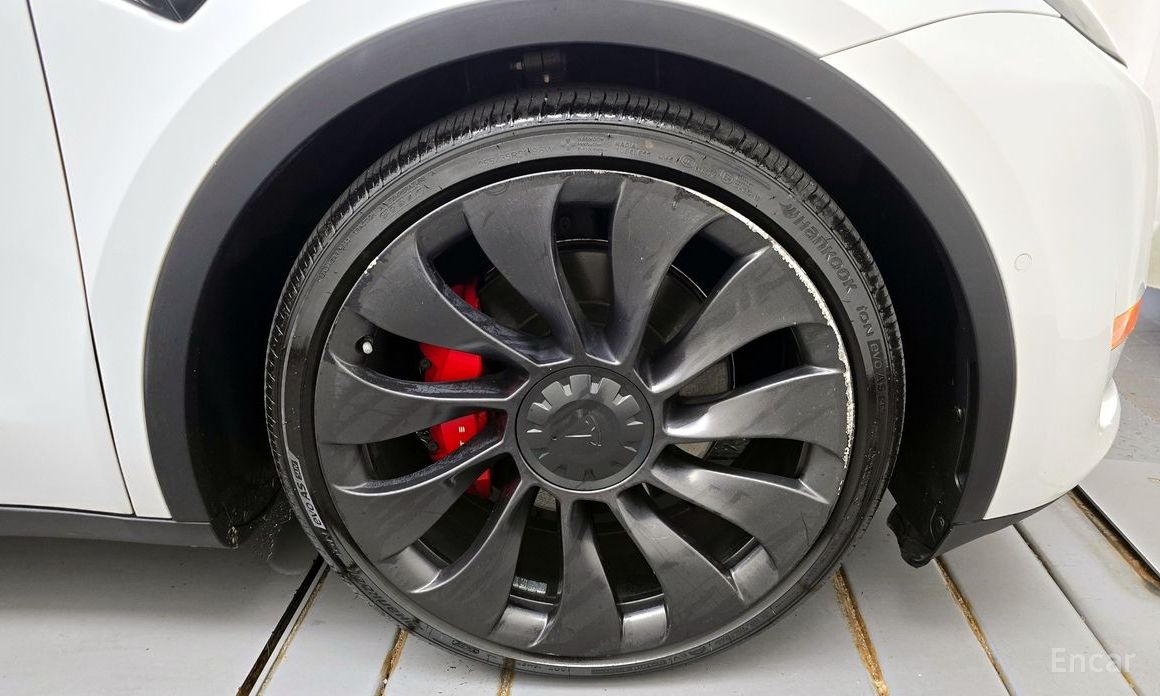 Model Y Performance 6