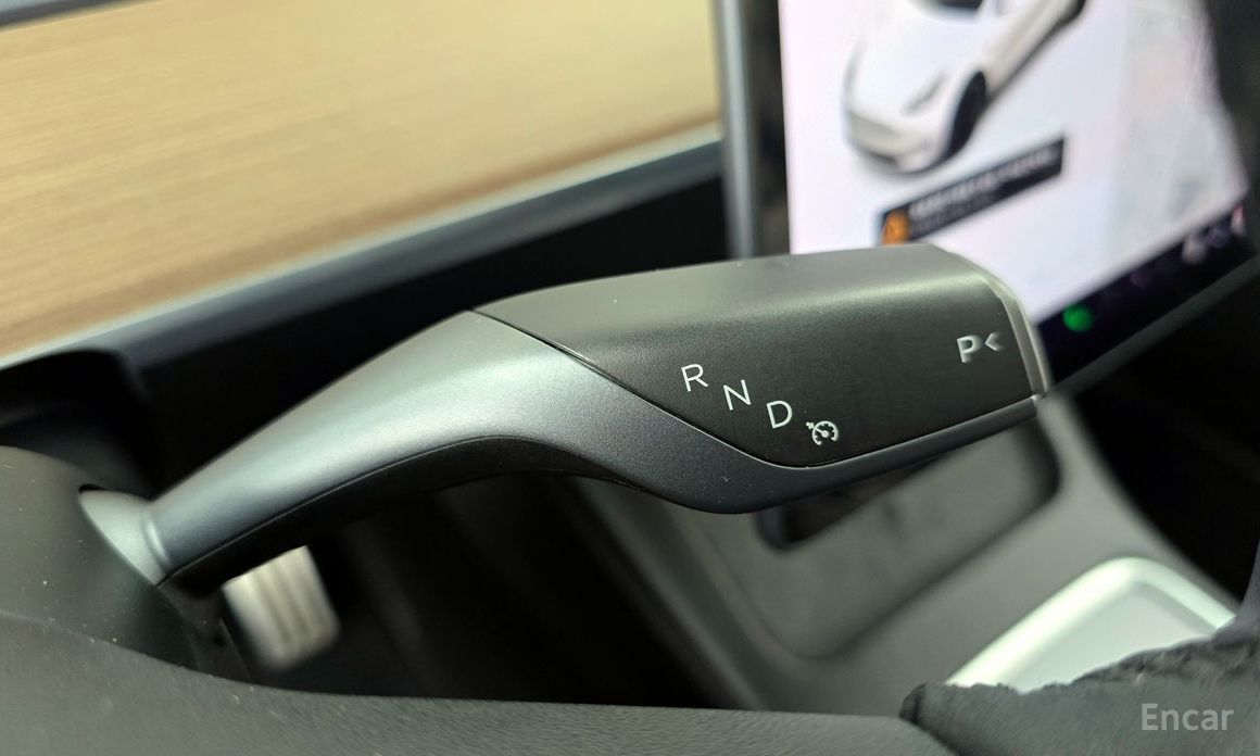 Model Y Performance 10
