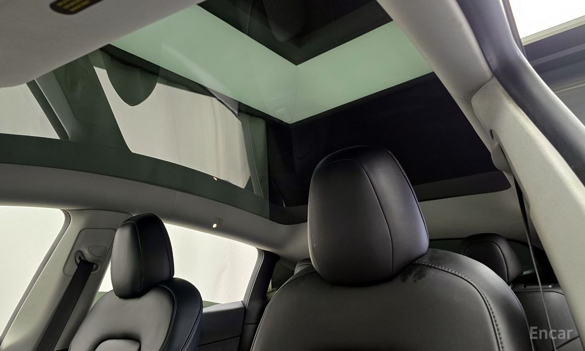Model Y Performance 19
