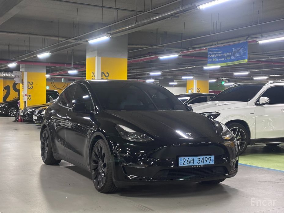 Model Y Performance 2