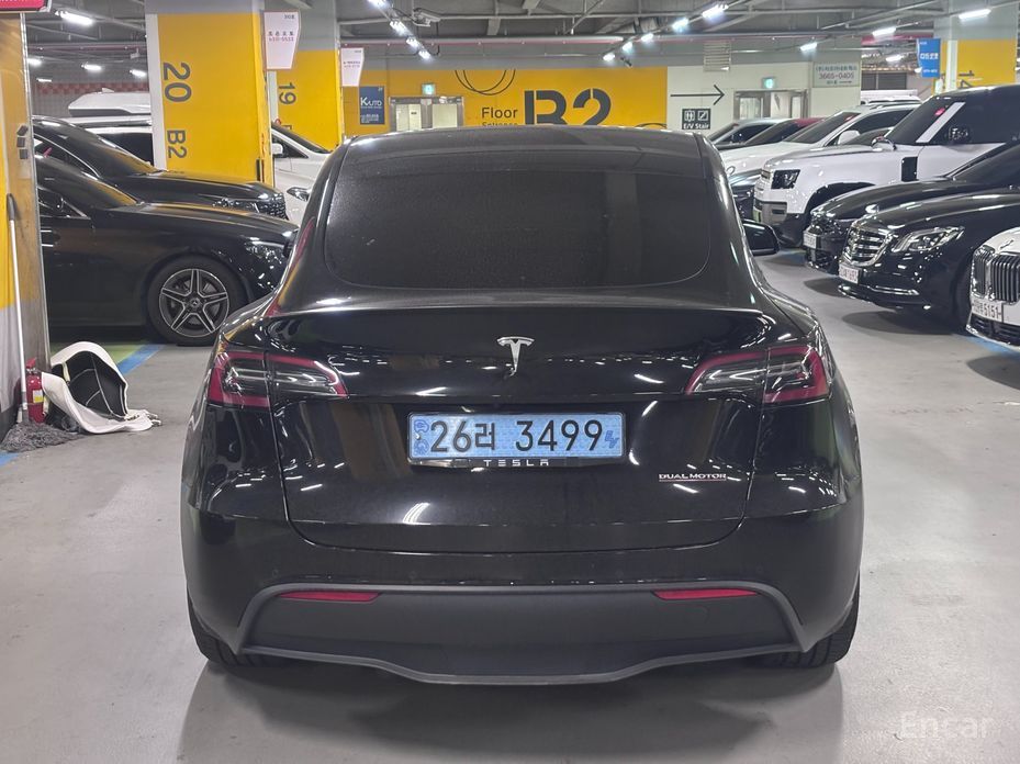 Model Y Performance 5