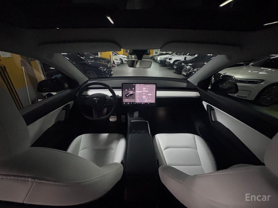 Model Y Performance 8