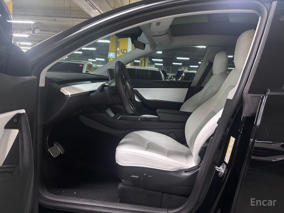 Model Y Performance 15