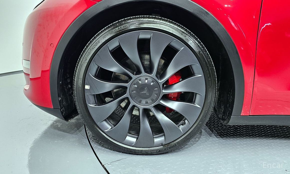 Tesla Model Y Performance  6