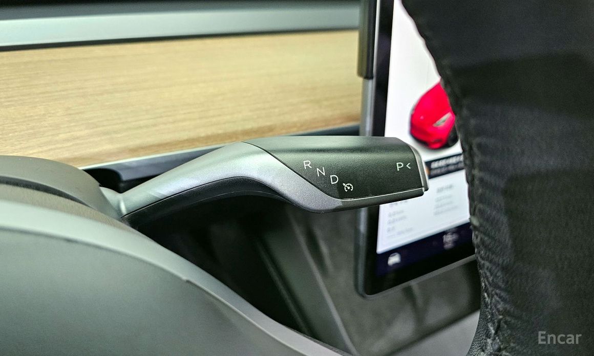 Tesla Model Y Performance  10