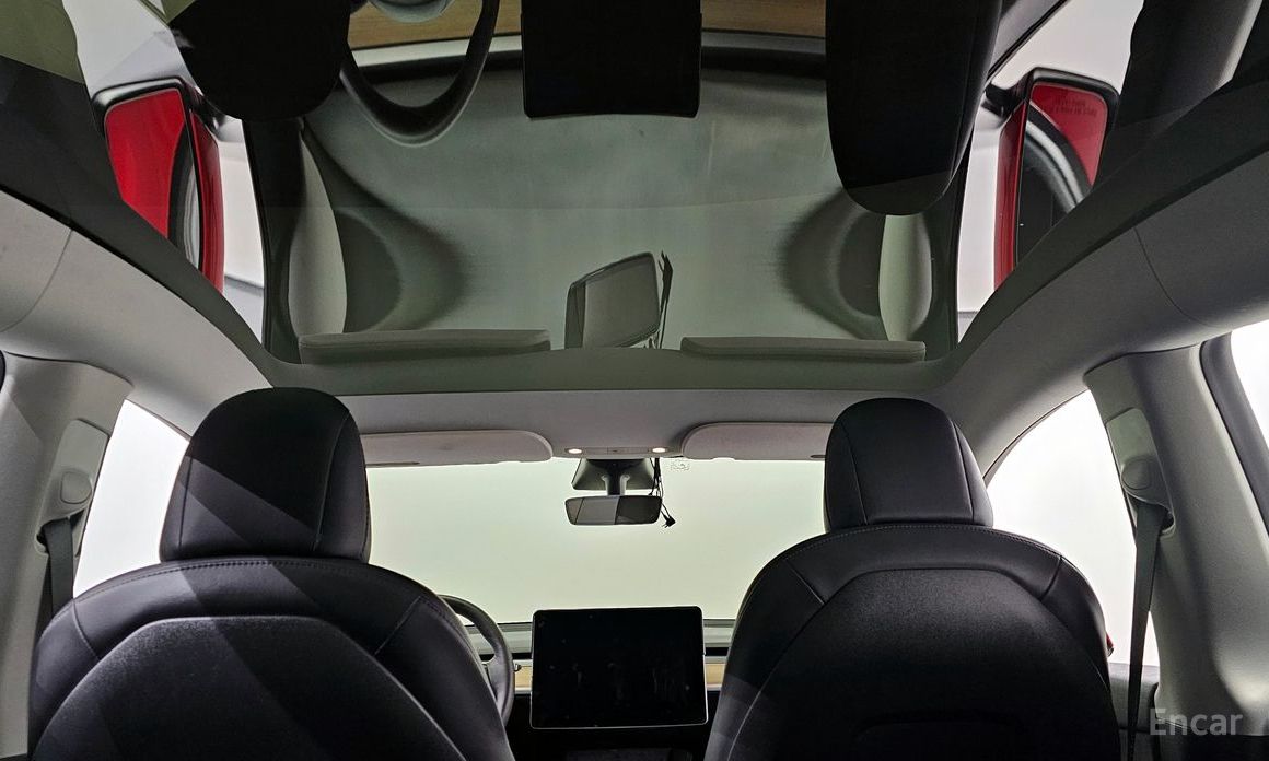Tesla Model Y Performance  20