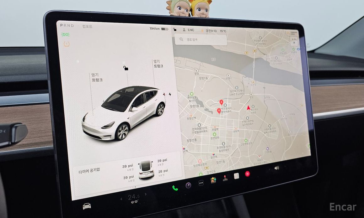 Model Y Standard Range 15