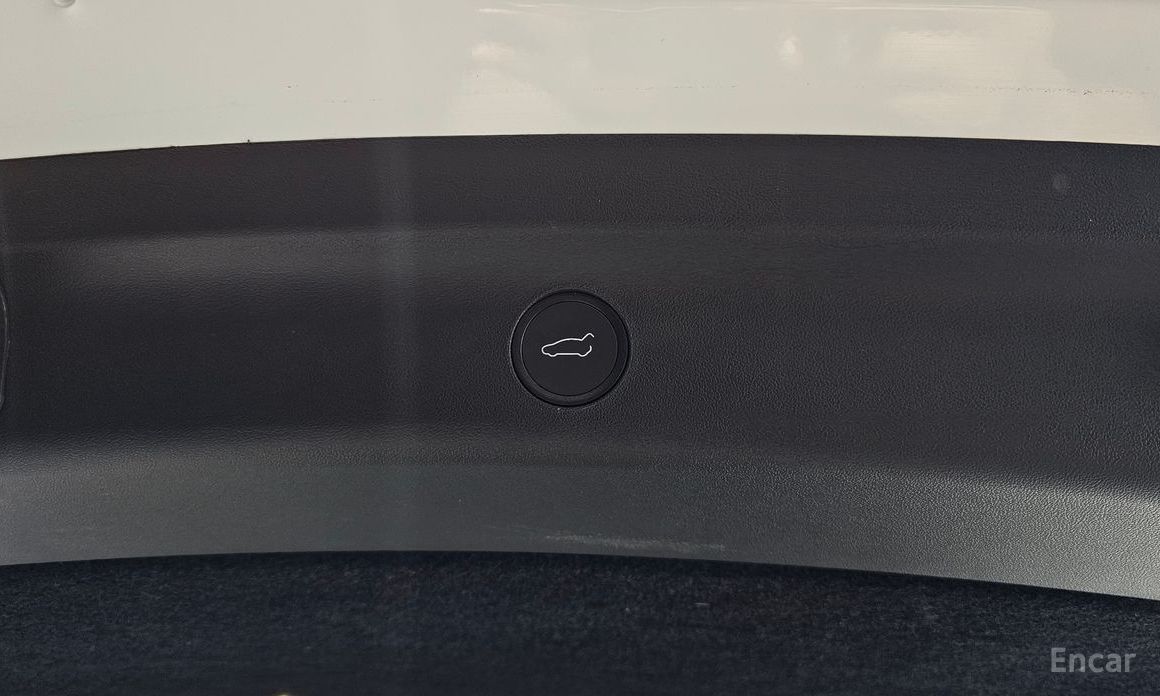 Model Y Standard Range 21