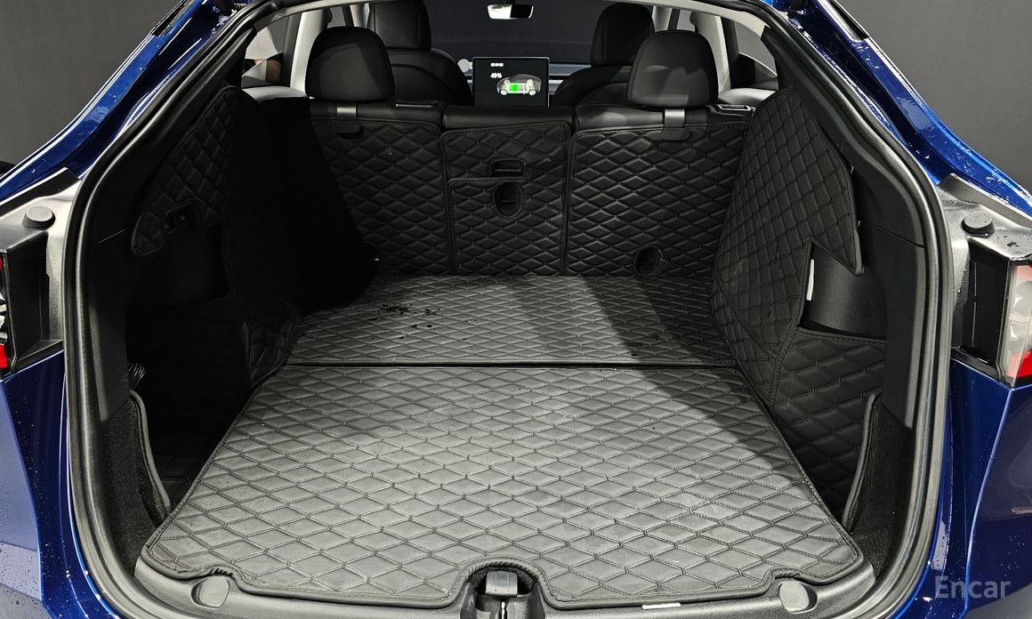 Model Y Standard Range 21
