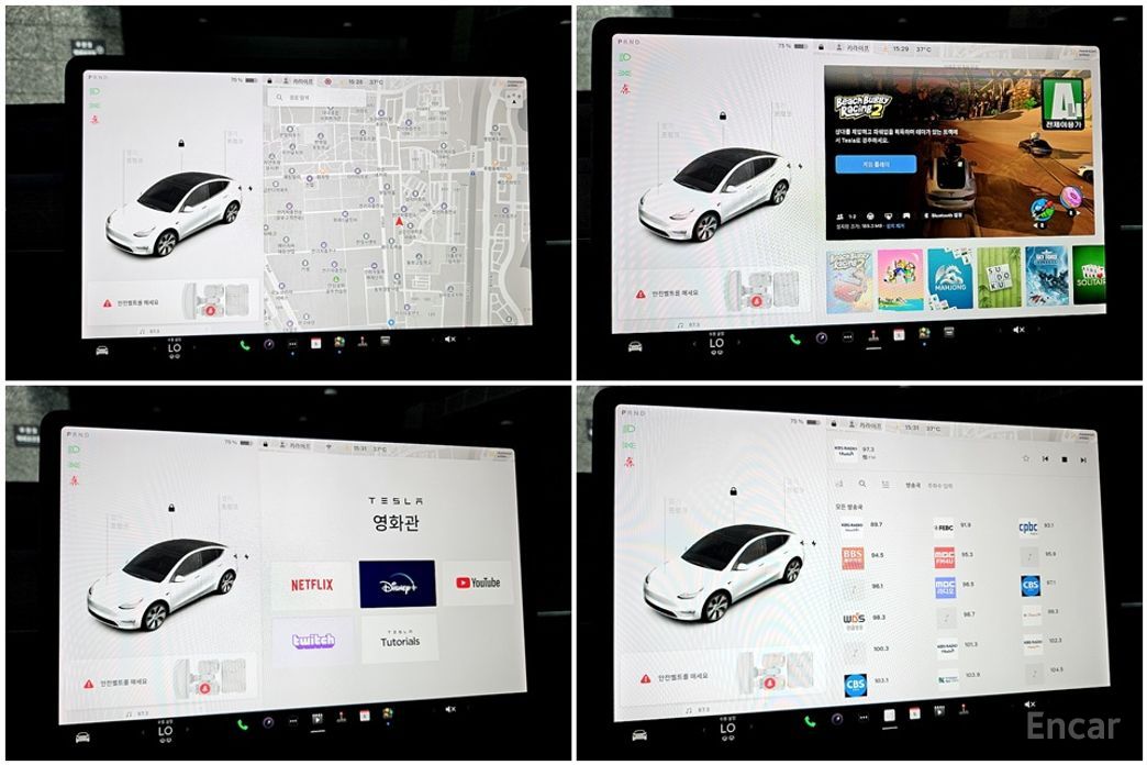 Model Y Standard Range 17