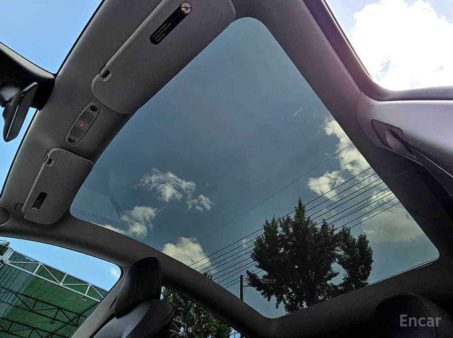 Model Y Standard Range 19