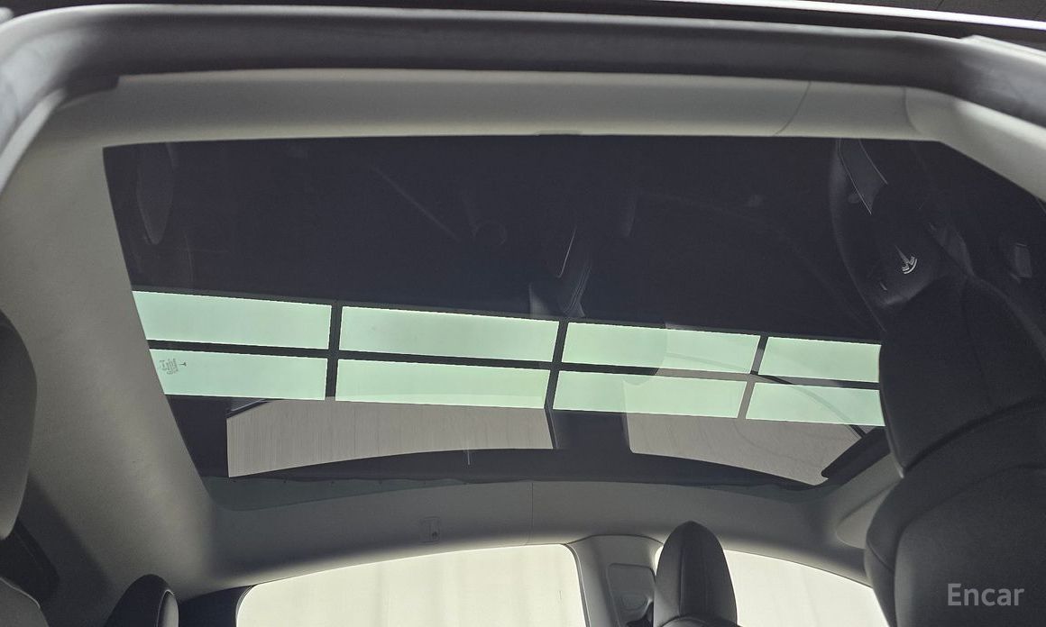 Model Y Standard Range 18
