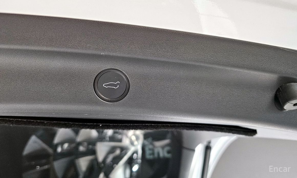 Model Y Standard Range 20