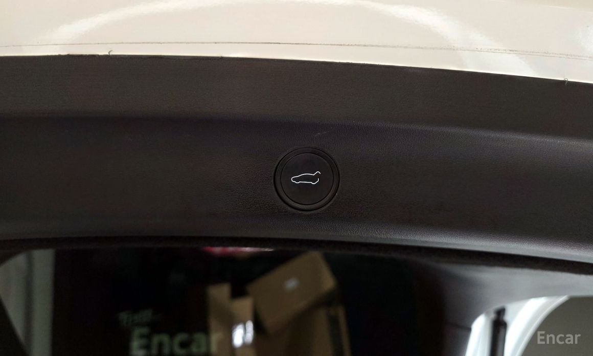 Model Y Standard Range 19