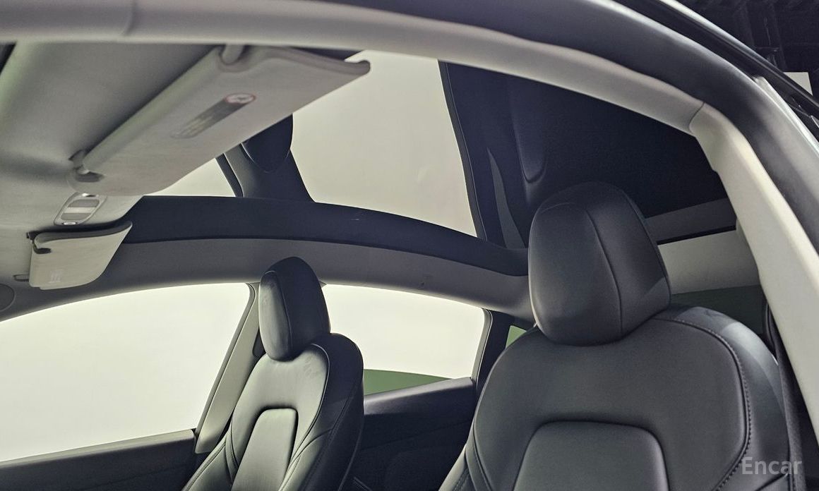 Model Y Standard Range 20