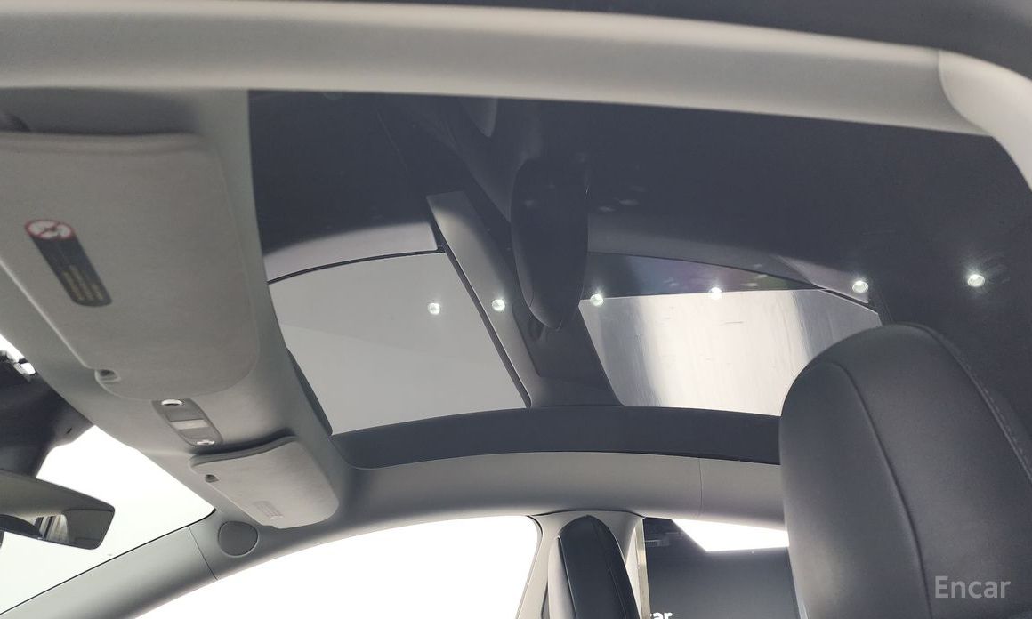 Model Y Standard Range 19