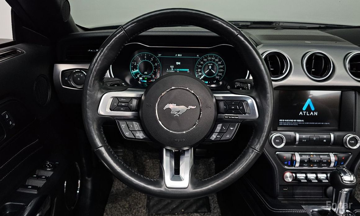 Ford Mustang Convertible №14