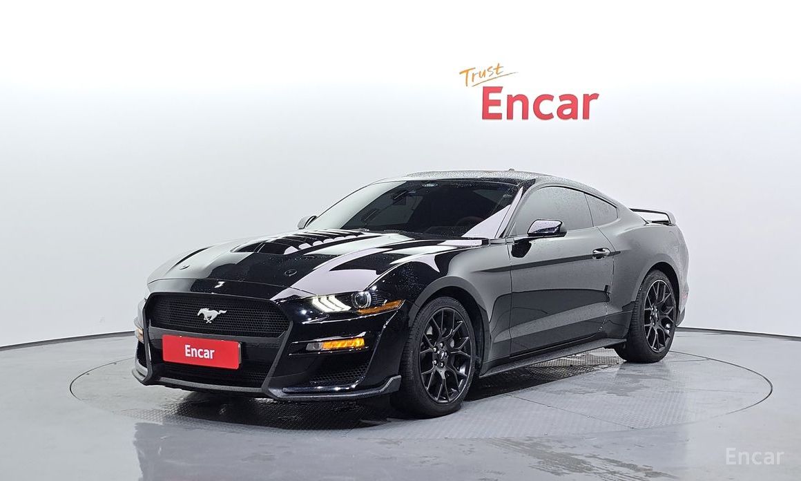 Mustang Coupe 2