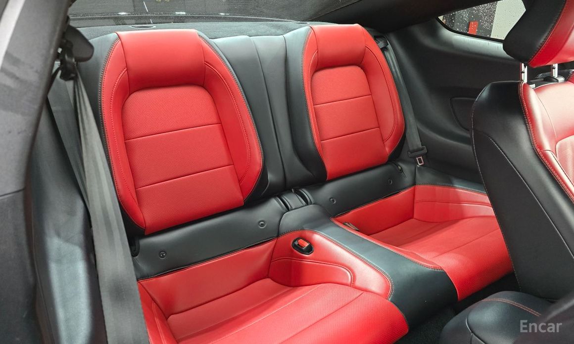 Mustang Coupe 13