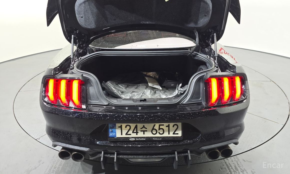 Mustang Coupe 21