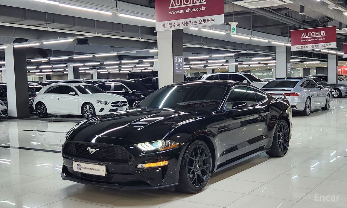 Mustang Coupe 2