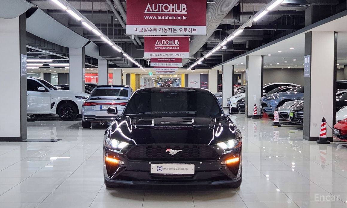 Mustang Coupe 3