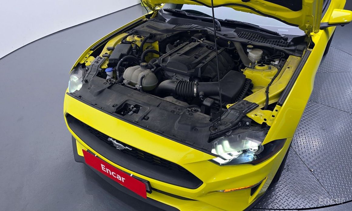 Mustang Coupe 7