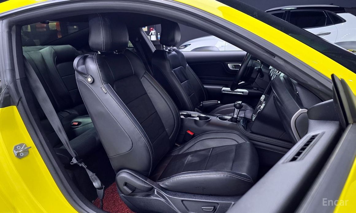 Mustang Coupe 11