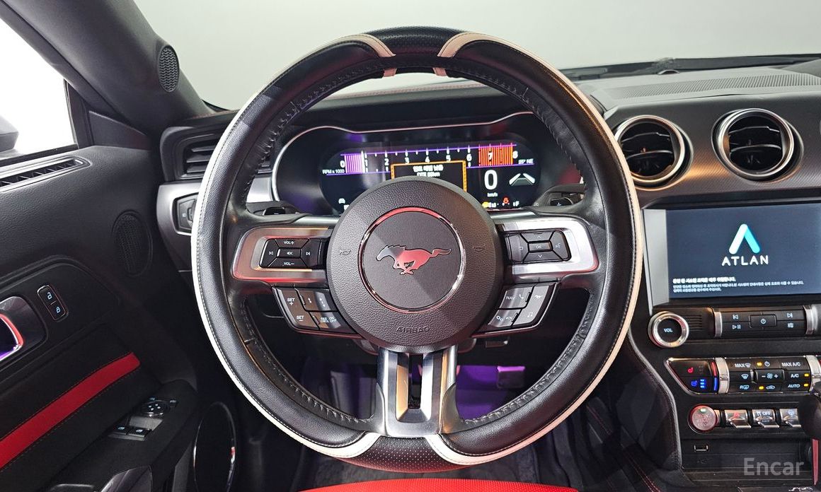 Mustang Coupe 14