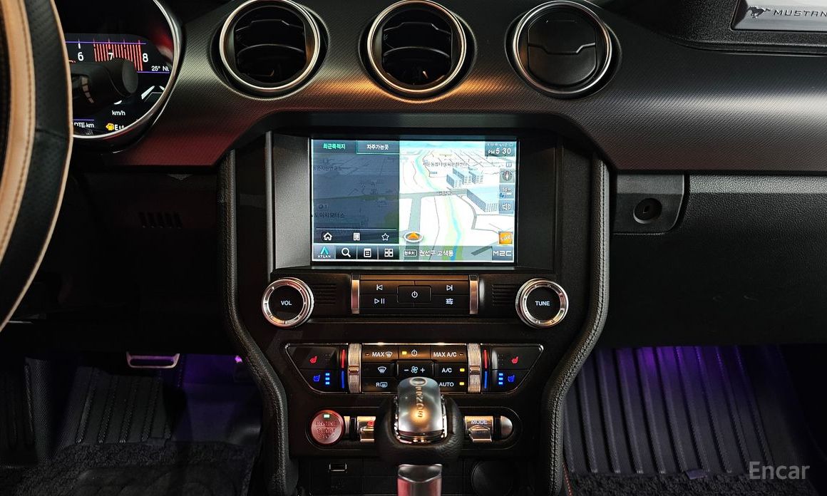 Mustang Coupe 15