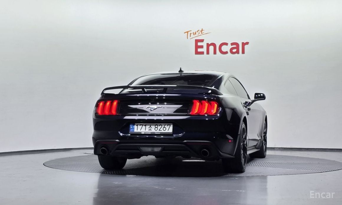 Mustang Coupe 5