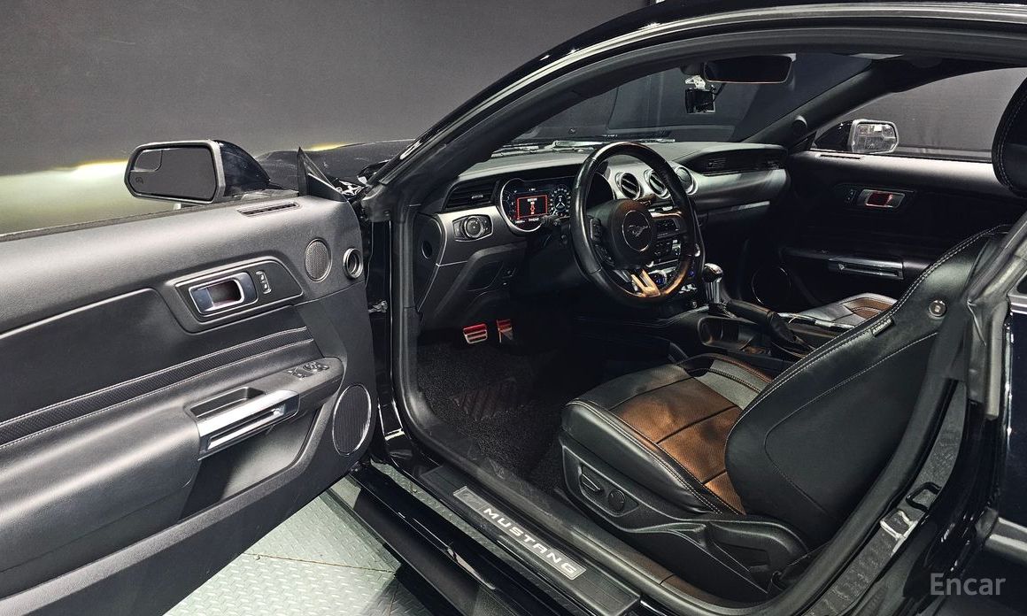 Mustang Coupe 13