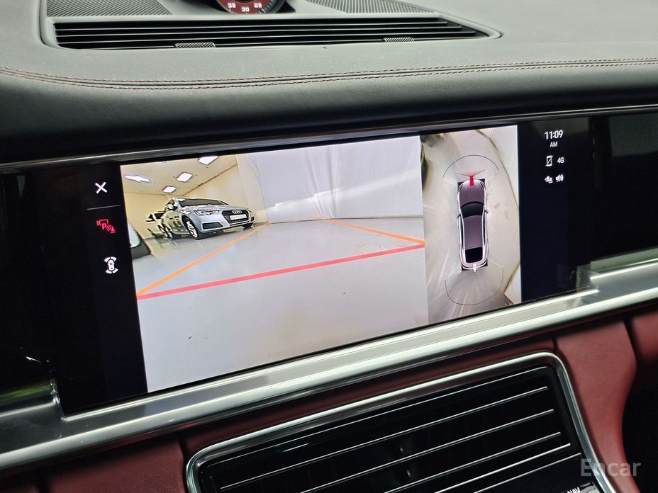 Porsche Panamera (971) 2.9 AWD Platinum Edition №12