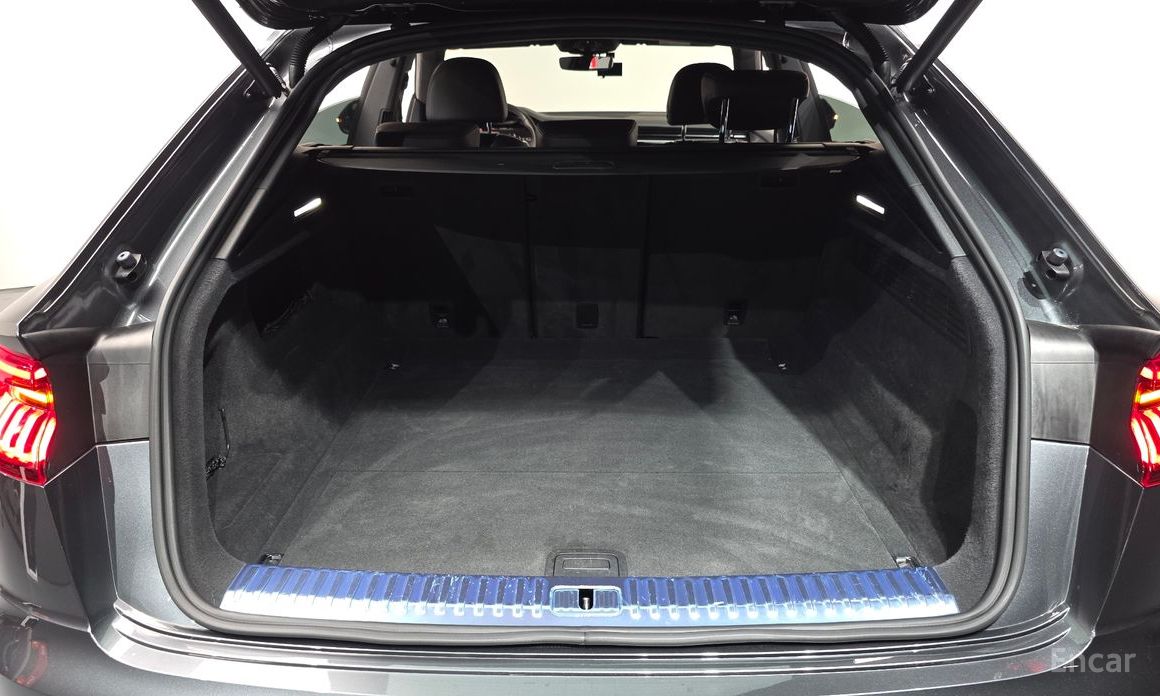 Audi Q8 (4M)45 TDI Quattro Premium №20