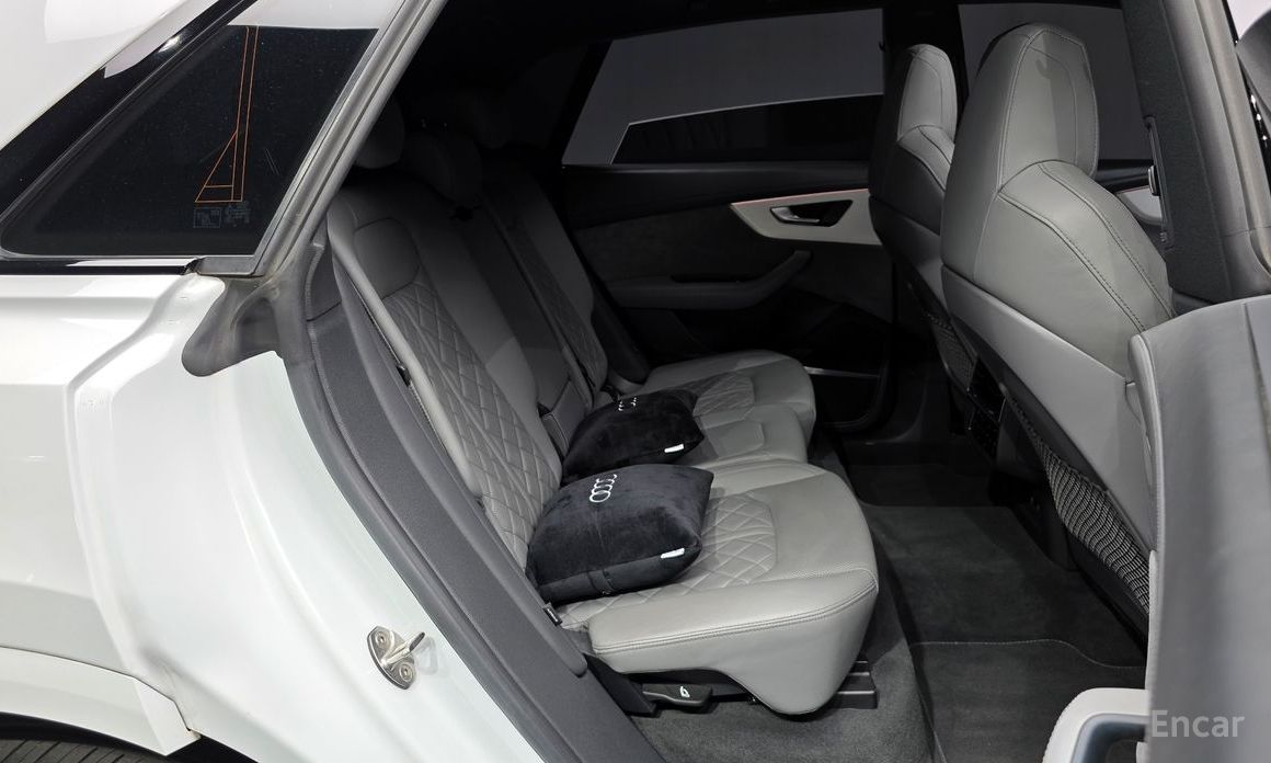 Audi Q8 (4M) 55 TFSI Quattro Premium №13