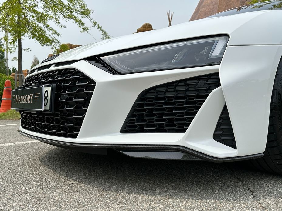 Audi R8 (4S)5.2 V10 Performance Coupe №18