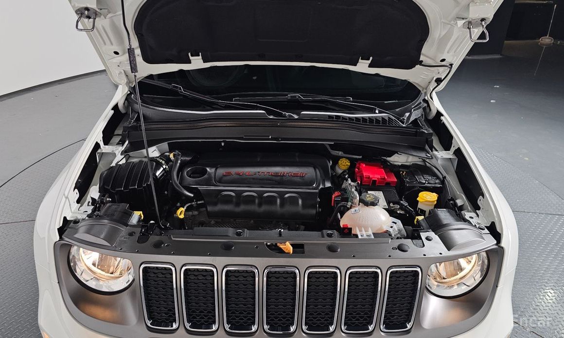Renegade 2.4 Limited 7