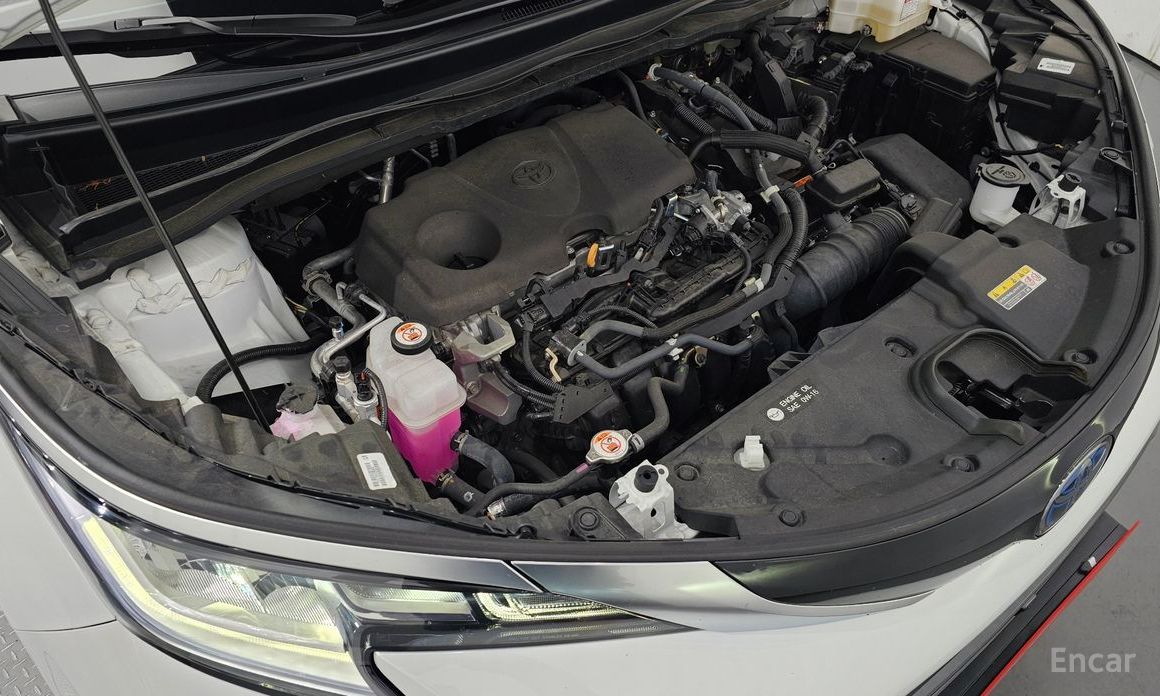 Siena 4th Generation 2.5 Hybrid 2WD 7