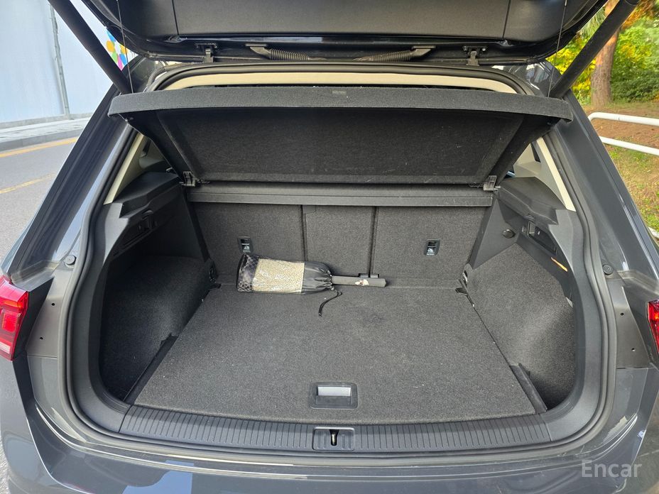 Tiguan 2nd Generation 2.0 TDI 4 Motion Premium 17