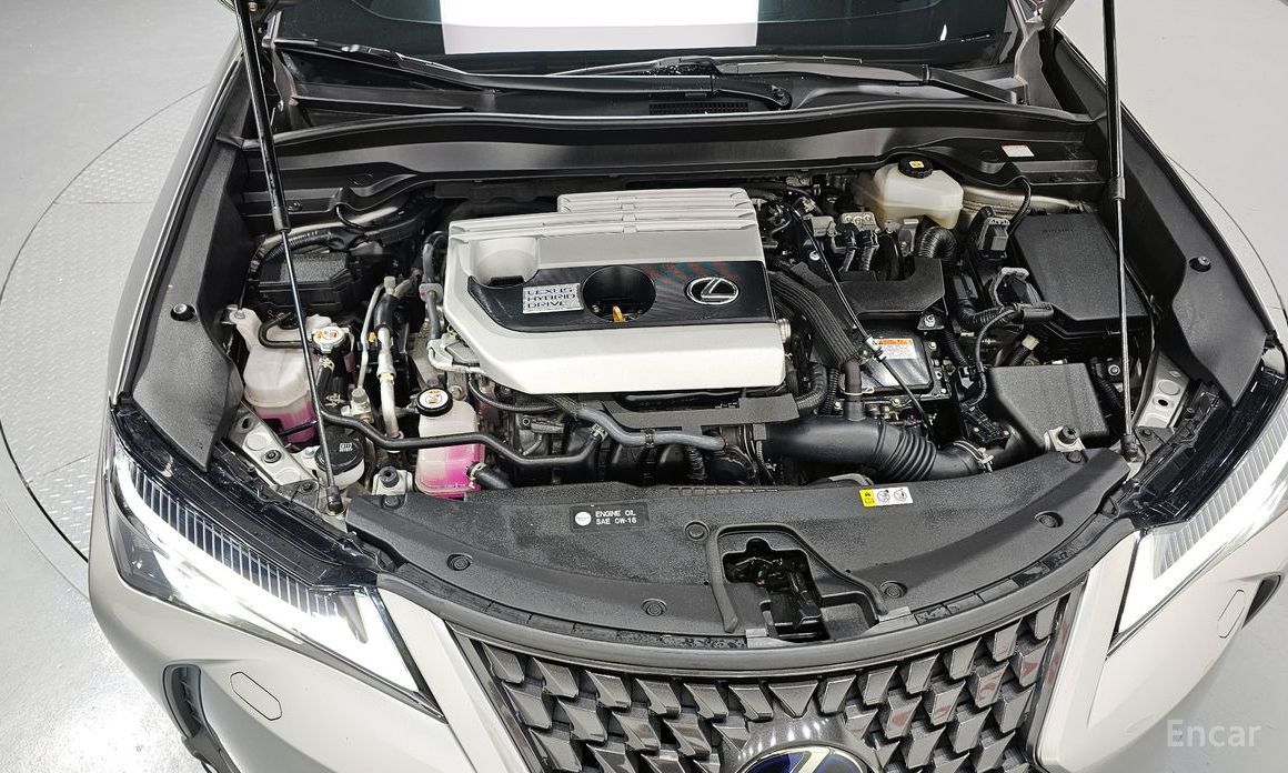 UX250h2.0 2WD 7