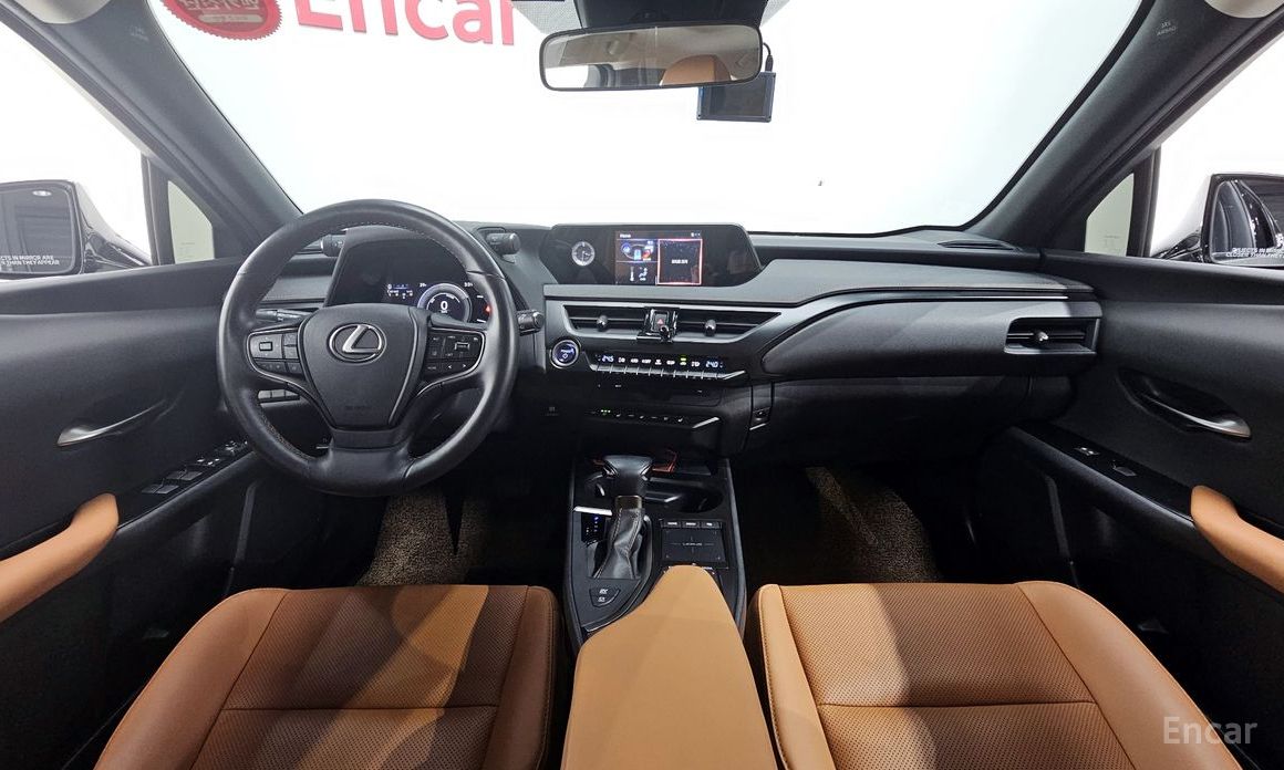 UX250h2.0 2WD 8