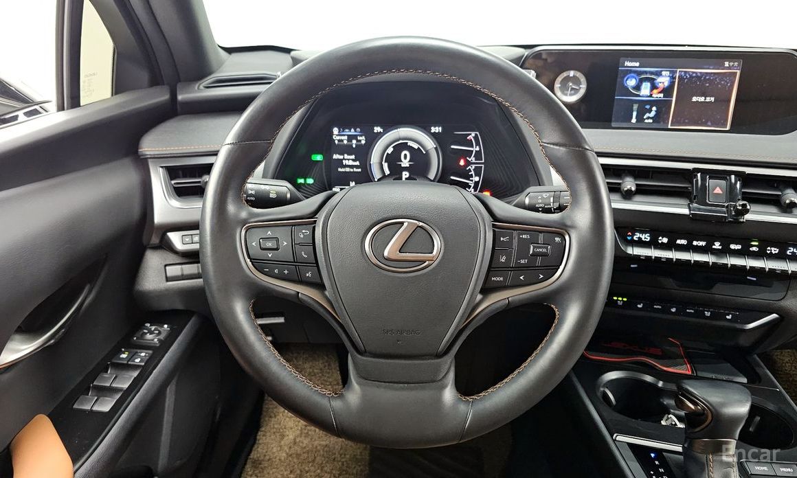 UX250h2.0 2WD 14