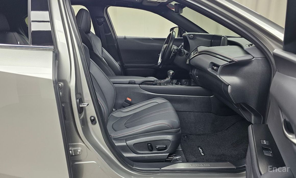 UX250h2.0 F-Sport 2WD 12