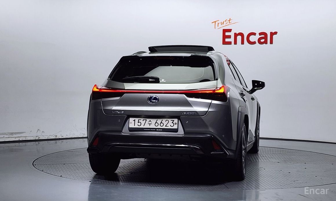 Lexus UX250h2.0 F-Sport 2WD №5