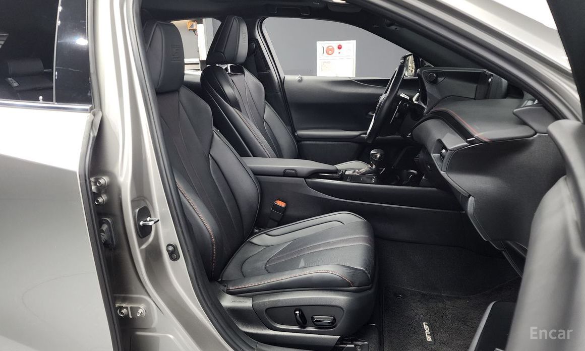Lexus UX250h2.0 F-Sport 2WD №12